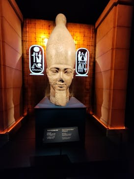ACN ラムセス大王展 ファラオたちの黄金に投稿された画像（2025/8/11）