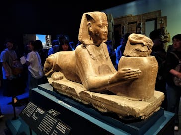 ACN ラムセス大王展 ファラオたちの黄金に投稿された画像（2025/8/11）