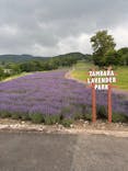 たんばらラベンダーパークに投稿された画像（2025/8/11）