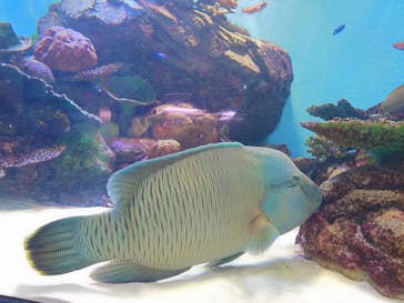 城崎マリンワールドに投稿された画像（2025/8/11）