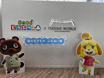 マリンワールド海の中道に投稿された画像（2025/8/11）