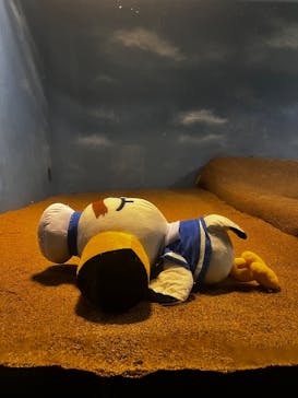 マリンワールド海の中道に投稿された画像（2025/8/11）