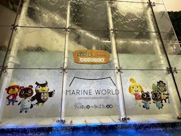 マリンワールド海の中道に投稿された画像（2025/8/11）