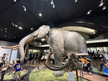 滋賀県立琵琶湖博物館に投稿された画像（2025/8/11）