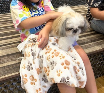 いぬカフェRio イオンモール常滑店に投稿された画像（2025/8/11）