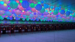 Little universe OKINAWAに投稿された画像（2025/8/11）