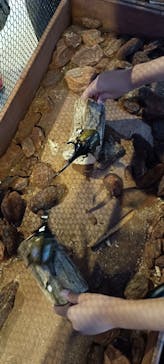 JOYPOLIS 特別イベントスペースに投稿された画像（2025/8/11）