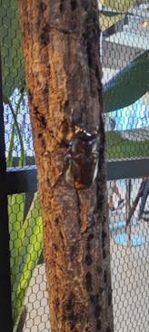 JOYPOLIS 特別イベントスペースに投稿された画像（2025/8/11）