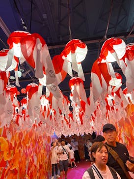 錦鯉・金魚アクアリウム in ときメッセに投稿された画像（2025/8/11）