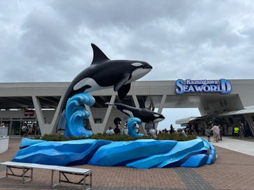 鴨川シーワールドに投稿された画像（2025/8/11）