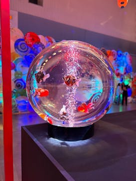 錦鯉・金魚アクアリウム in ときメッセに投稿された画像（2025/8/11）