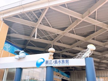 新江ノ島水族館に投稿された画像（2025/8/11）