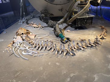 新江ノ島水族館に投稿された画像（2025/8/11）