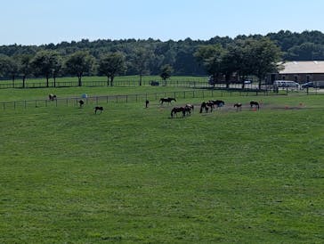 ノーザンホースパークに投稿された画像（2025/8/11）