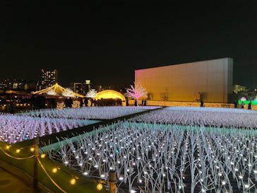 東京メガイルミに投稿された画像（2025/8/11）