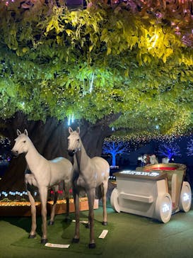 東京メガイルミに投稿された画像（2025/8/11）