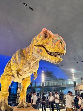 福井県立恐竜博物館に投稿された画像（2025/8/11）