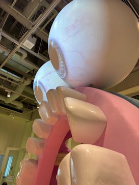 君も博士になれる展 in東京ミッドタウン八重洲に投稿された画像（2025/8/11）