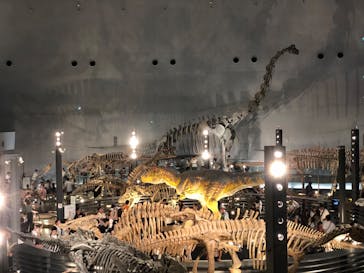福井県立恐竜博物館に投稿された画像（2025/8/11）