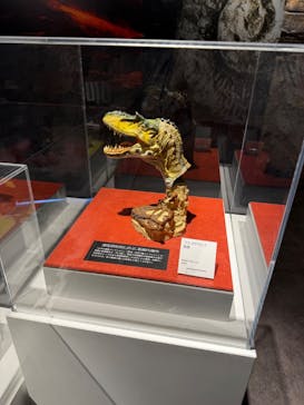 円形劇場くらよしフィギュアミュージアムに投稿された画像（2025/8/11）