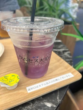 ACN ラムセス大王展 ファラオたちの黄金に投稿された画像（2025/8/11）