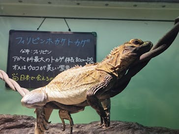 サンシャイン水族館に投稿された画像（2025/8/11）