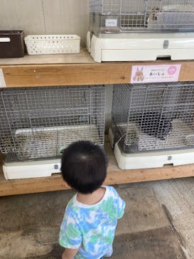 成田ゆめ牧場に投稿された画像（2025/8/11）