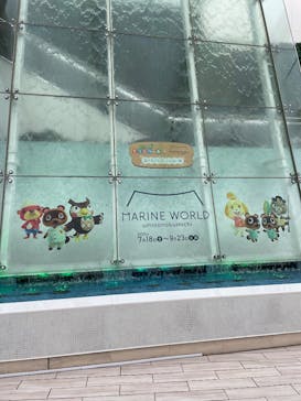 マリンワールド海の中道に投稿された画像（2025/8/11）