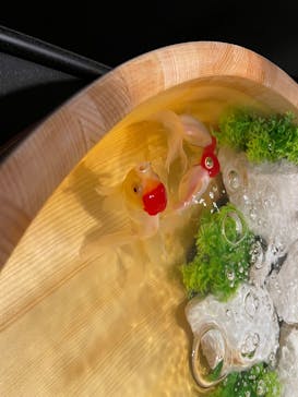 錦鯉・金魚アクアリウム in ときメッセに投稿された画像（2025/8/11）