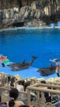 名古屋港水族館に投稿された画像（2025/8/11）