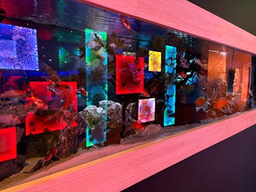 NARA KINGYO MUSEUMに投稿された画像（2025/8/11）