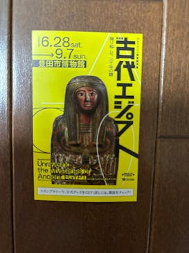 ブルックリン博物館所蔵　特別展　古代エジプト（豊田会場）に投稿された画像（2025/8/11）