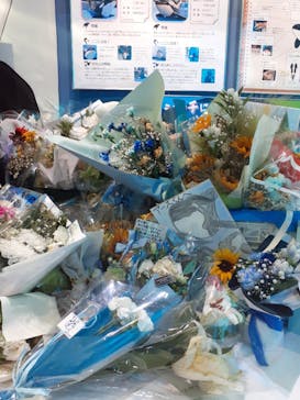 名古屋港水族館に投稿された画像（2025/8/11）