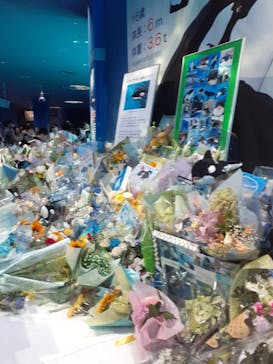 名古屋港水族館に投稿された画像（2025/8/11）