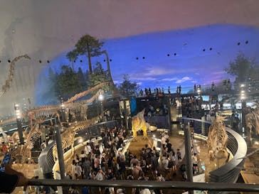 福井県立恐竜博物館に投稿された画像（2025/8/11）