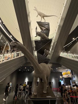 福井県立恐竜博物館に投稿された画像（2025/8/11）