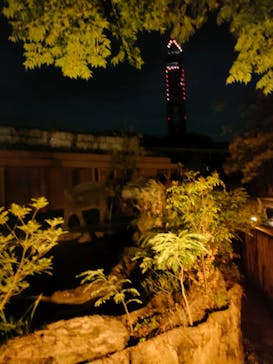 名古屋市東山動植物園に投稿された画像（2025/8/11）