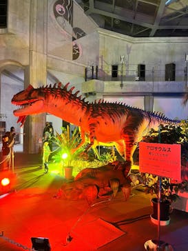 京都 大恐竜博 ～動く！吠える！暴れる！大迫力の巨大恐竜がやってくる～に投稿された画像（2025/8/11）