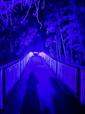 ニジゲンノモリに投稿された画像（2025/8/11）