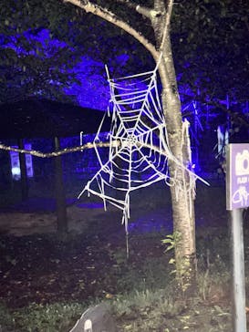 ニジゲンノモリに投稿された画像（2025/8/11）