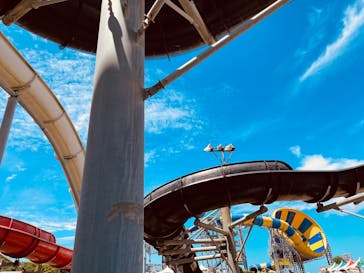 芝政ワールドに投稿された画像（2025/8/11）