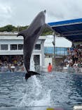越前松島水族館に投稿された画像（2025/8/11）