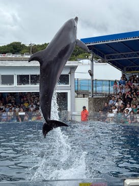 越前松島水族館に投稿された画像（2025/8/11）