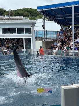 越前松島水族館に投稿された画像（2025/8/11）