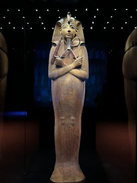 ACN ラムセス大王展 ファラオたちの黄金に投稿された画像（2025/8/11）