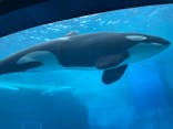 名古屋港水族館に投稿された画像（2025/8/11）