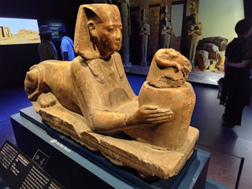 ACN ラムセス大王展 ファラオたちの黄金に投稿された画像（2025/8/11）