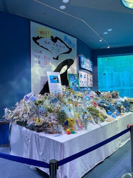 名古屋港水族館に投稿された画像（2025/8/11）
