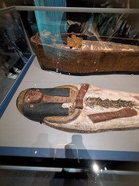 ブルックリン博物館所蔵　特別展　古代エジプト（豊田会場）に投稿された画像（2025/8/11）
