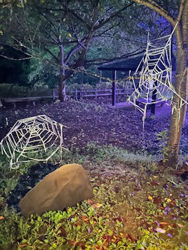 ニジゲンノモリに投稿された画像（2025/8/11）